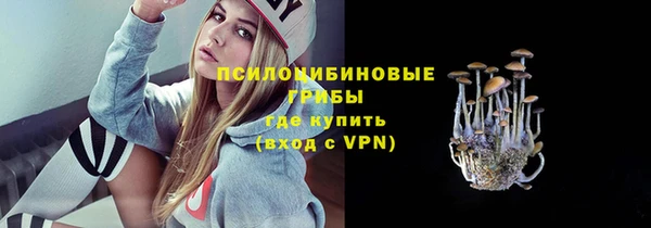 таблы Дмитриев