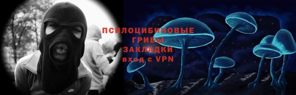 таблы Дмитриев