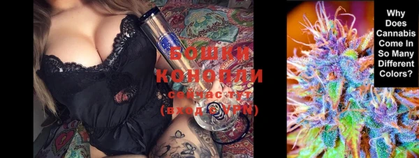 ПСИЛОЦИБИНОВЫЕ ГРИБЫ Дмитров