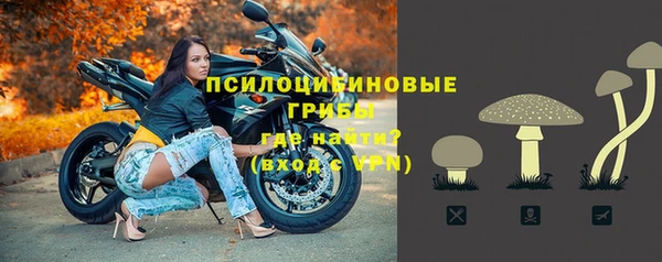 таблы Дмитриев