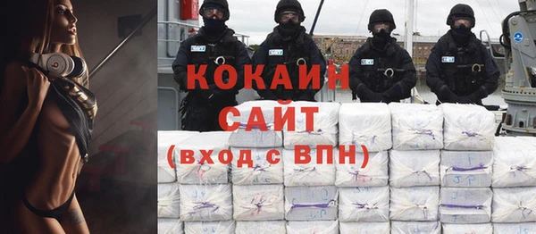 ПСИЛОЦИБИНОВЫЕ ГРИБЫ Дмитров