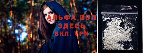 ПСИЛОЦИБИНОВЫЕ ГРИБЫ Дмитров