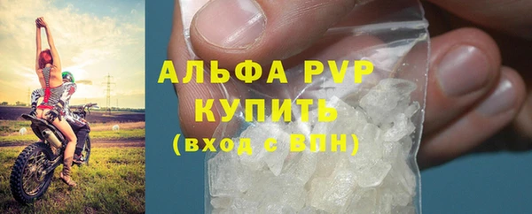 ПСИЛОЦИБИНОВЫЕ ГРИБЫ Дмитров