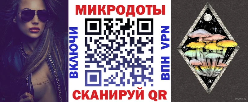 Галлюциногенные грибы Psilocybe  Купить закладки  Кологрив 