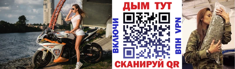 Купить закладки  Кологрив  Каннабис сатива 